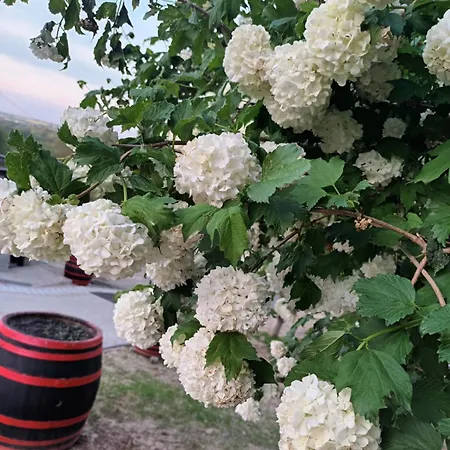 Lidrind Porta Ferienhaus *